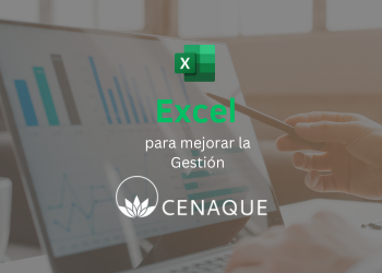 Excel para mejorar la Gestión
